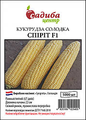 Насіння Кукурудза цукрове Спірит F1, 5000 насіння Syngenta Садиба Центр