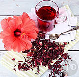 Каркаде Гібіскус Суданська троянда ваговій чай 50 г, фото 6