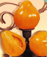 Насіння томатів Лампа Аладіна(груша жовта)