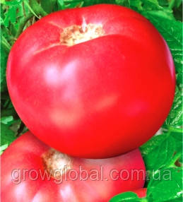 Насіння томатів Мікадо рожевий