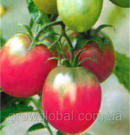 Насіння томатів Де барао рожевий