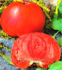 Насіння томатів Три товстуни