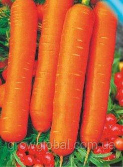 Насіння моркви Калина F1