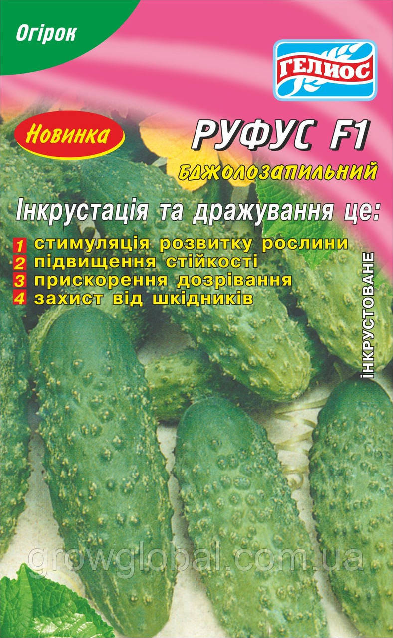 Насіння огірків бджолозапильних Руфус F1 25 шт. Інк.