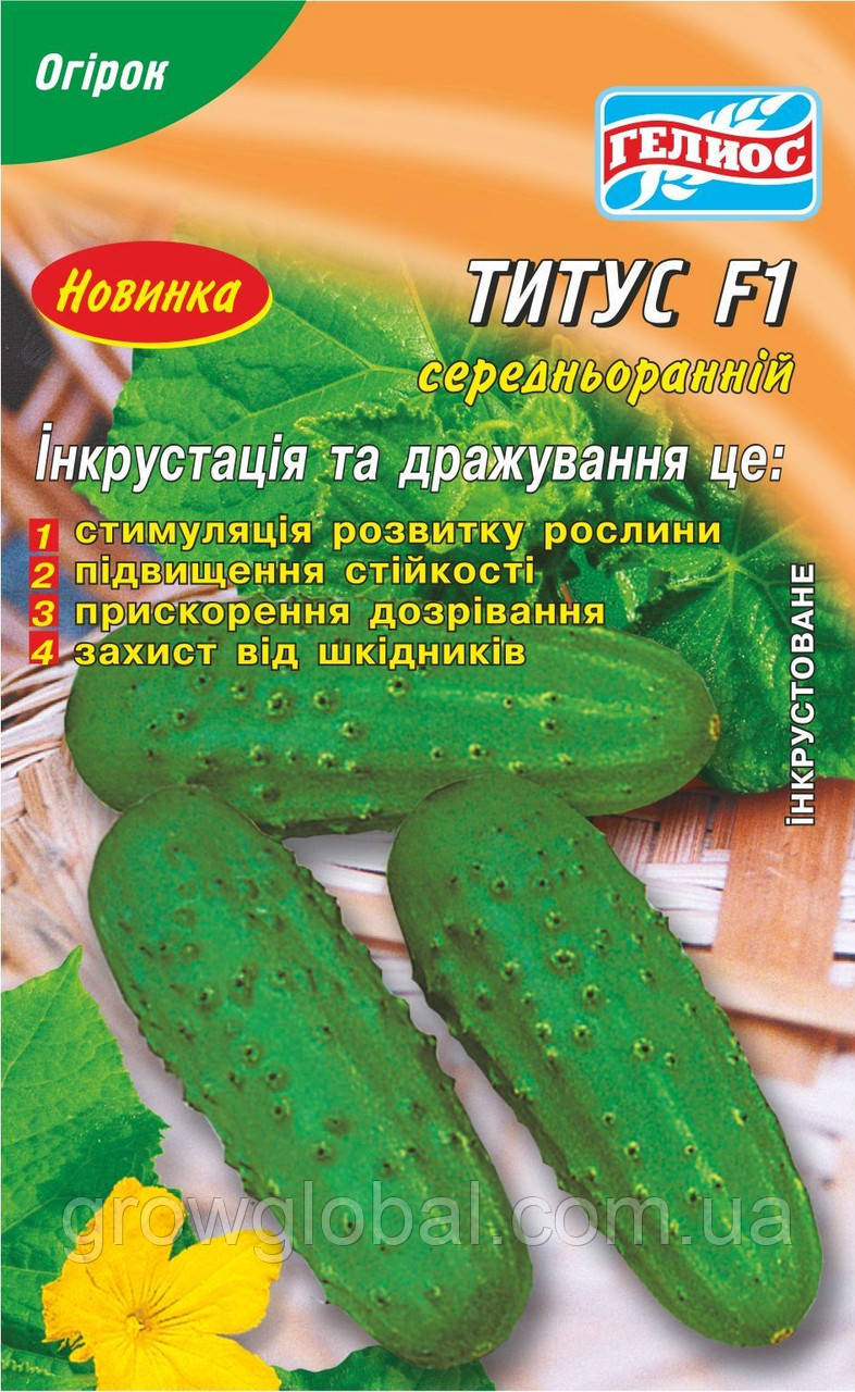 Насіння огірків бджолозапильних Тітус F1 50 шт.