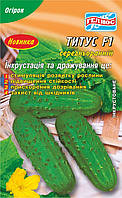 Насіння огірків бджолозапильних Тітус F1 50 шт.