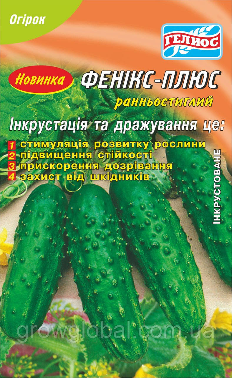 Насіння огірків бджолозапильних Фенікс-плюс25 шт. Інк.