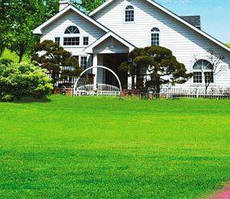 Суміш газонних трав універсальний Газон