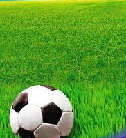 Суміш газонних трав Спортивний Газон