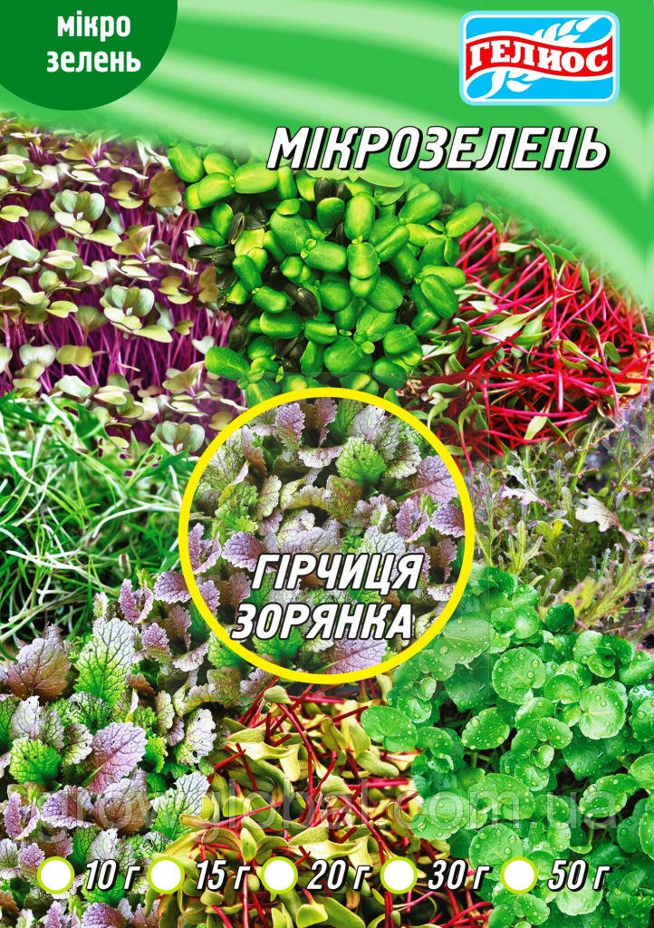 Насіння Гірчиці червоною для мікрозелені 10 г