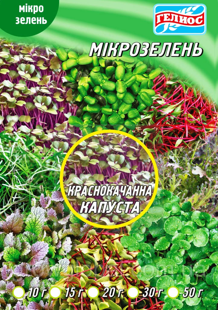 Насіння Капусти червонокачанної для мікрозелені 10 г
