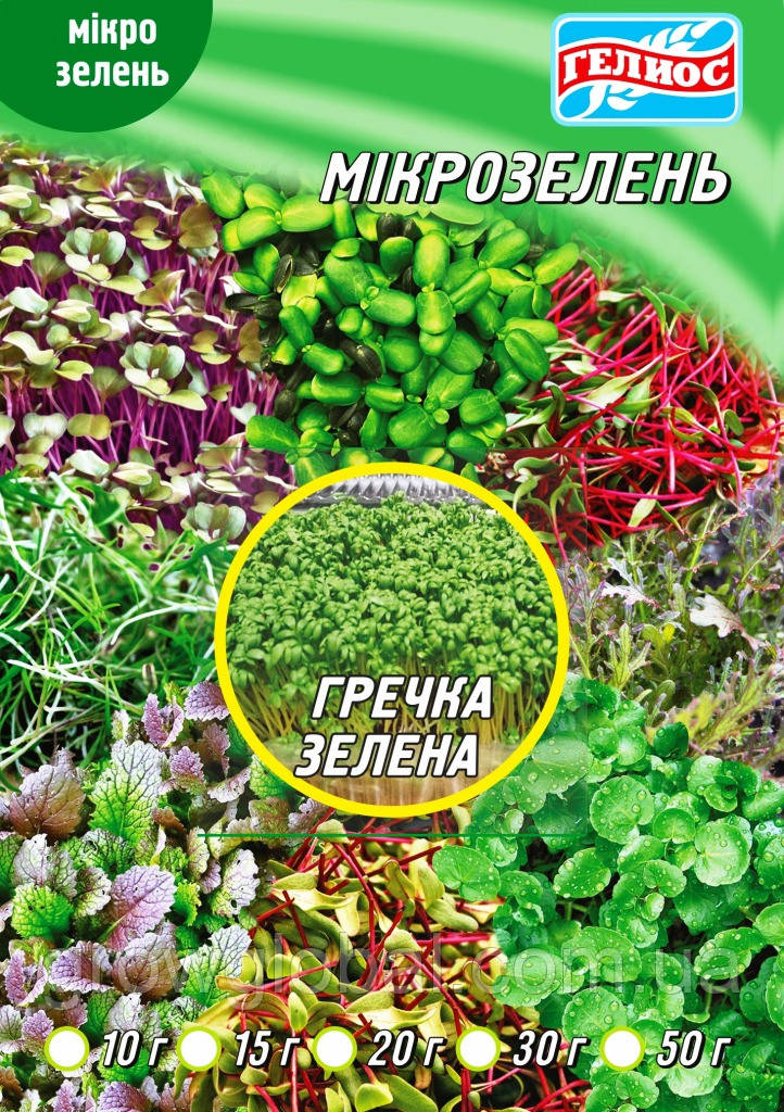 Насіння Гречки зеленою для мікрозелені 50 г