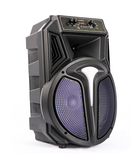Акустична акумуляторна колонка (USB/FM/BT/LED) Ailiang KOLAV-S603