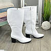Чоботи білі шкіряні жіночі із широкою халявою. 38 розмір, обхват гомілки 44 см, фото 3