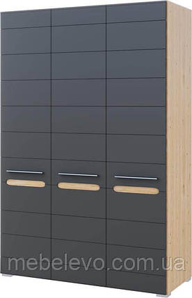 Шафа Б'янко 3Д 2200х1200х570мм дуб артезіан + графіт Світ Меблів, фото 1