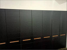 Шафа Б'янко 3Д з дзеркалом 2200х1200х570мм дуб артезіан + графіт Світ Меблів, фото 3