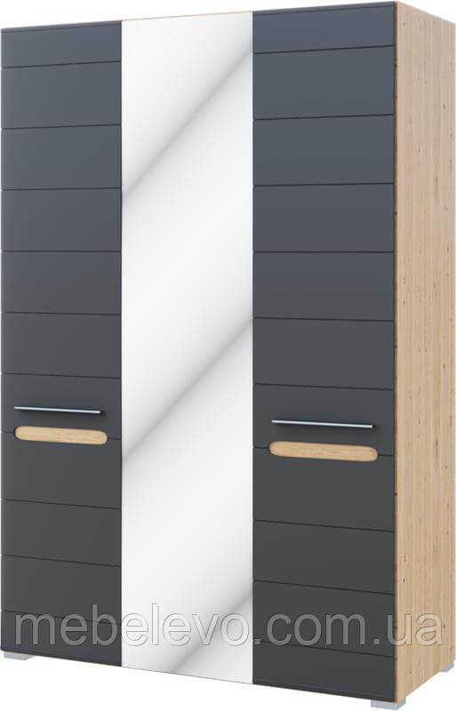 Шафа Б'янко 3Д з дзеркалом 2200х1200х570мм дуб артезіан + графіт Світ Меблів