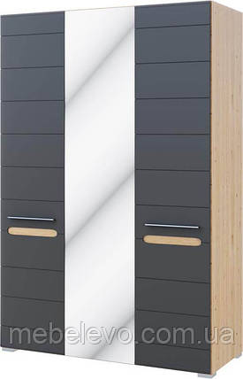 Шафа Б'янко 3Д з дзеркалом 2200х1200х570мм дуб артезіан + графіт Світ Меблів, фото 1