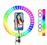 Кольорова кільцева LED лампа MJ38 38см RJB Light (1 кріплення) USB, фото 4