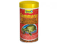 Tetra Корм Tetrafauna Gammarus 250 ml, для черепах