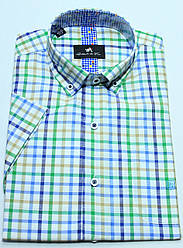 Сорочка чоловіча в клітку короткий рукав