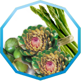 Рідкісні культури