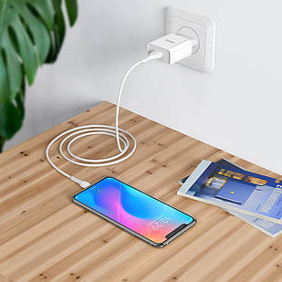 Зарядний пристрій Hoco C81A Asombroso (блочок + кабель Micro USB)