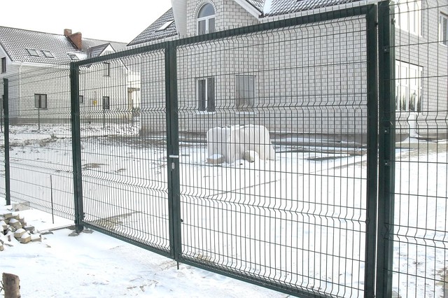 Коміра двостулкові, зашивка сітка