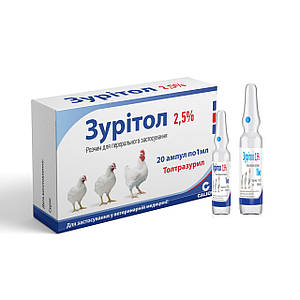 Сұлулар есектерін сперматозоидпен толтырады