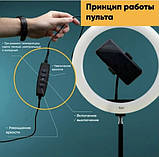 Кільцева LED лампа S31 33 см (1 кріплення) USB, фото 10