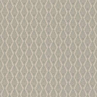088570 обои текстильные Valentina Rasch Германия базовые серые классические роскошные 53см