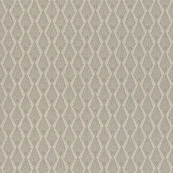 088570 шпалери текстильні Valentina Rasch Німеччина базові сірі класичні розкішні 53 см