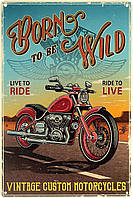 Металлическая табличка / постер "Рожденный Быть Диким / Born To Be Wild" 20x30см (ms-002743)