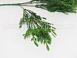 Букет ялівцю з шишечками зелений, фото 2
