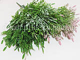 Букет ялівцю з шишечками зелений, фото 3