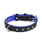 Нашийник KARELINE з натуральної шкіри двокольоровий з металевим декором 16 мм 260-310 мм, фото 5