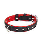 Нашийник KARELINE з натуральної шкіри двокольоровий з металевим декором 16 мм 260-310 мм, фото 3