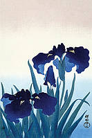 Постер плакат "Охара Косон (Цветы Ириса) / Ohara Koson (Iris Flowers)" 61x91.5см (ps-002774)