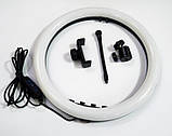 Кільцева LED лампа SMN-12 30см (1 кріплення) USB, фото 4