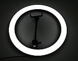 Кільцева LED лампа SMN-12 30см (1 кріплення) USB, фото 8