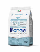 Monge Cat Monoprotein Kitten Сухой корм с форелью для котят 1,5 кг