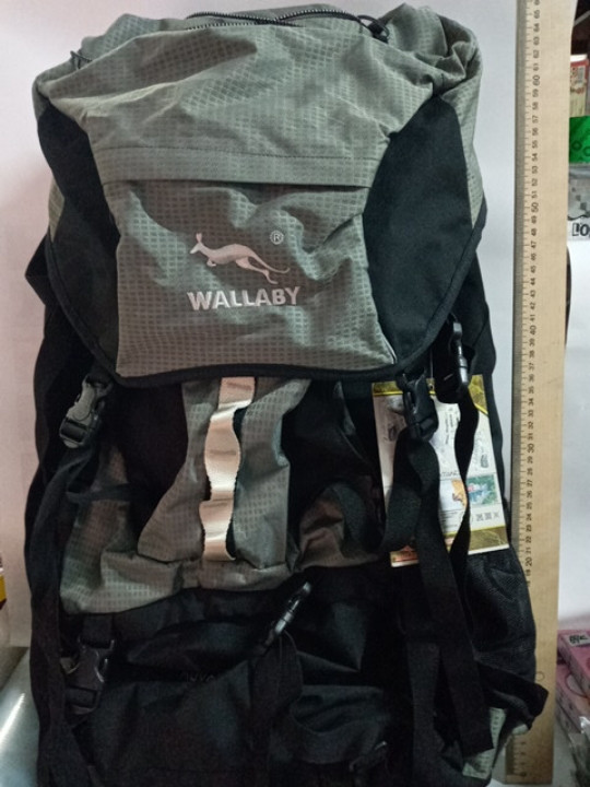 Рюкзак туристичний чорно-сірий Wallaby E201-1
