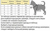 Зимовий комбінезон Такса Камуфляж Червоний Дрібний No5 (590 мм/500 мм/410 мм), фото 3