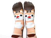 Женские носки демисезонные с принтом кошечки 36-41 Золото