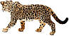 Schleich 14769 Ягуар - Figure Jaguar, фото 3