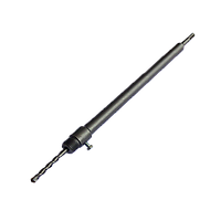 Хвостовик M22 х 350 мм, SDS Plus