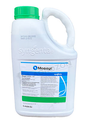 Регулятор росту Моддус Syngenta - 5 л, фото 2
