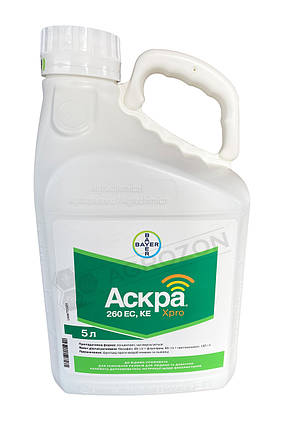Фунгіцид Аскро Хпро Bayer - 5 л., фото 1