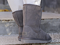 Женские ботинки UGG Classic Short Boot Grey 1016223P
