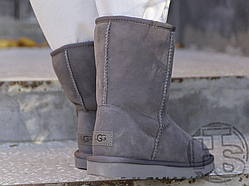 Жіночі чоботи UGG Classic Short Boot Grey 1016223P